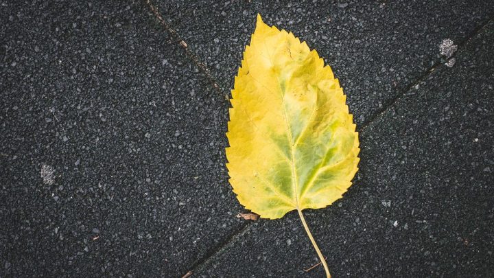 Jak wybrać najlepszą kostkę brukową?